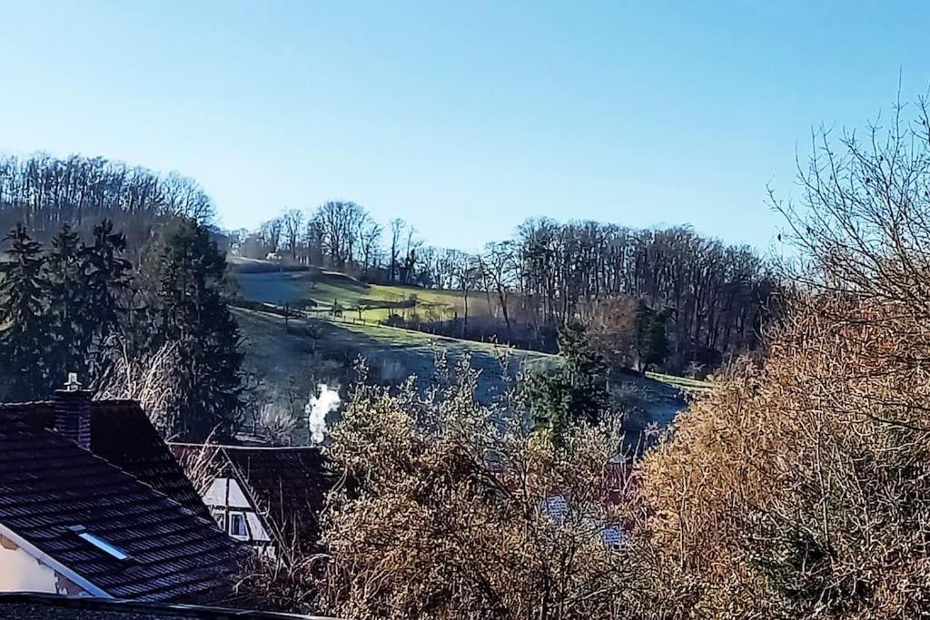 Kleine, Gemuetliche Dachgeschosswohnung Laudenbach  Extérieur photo